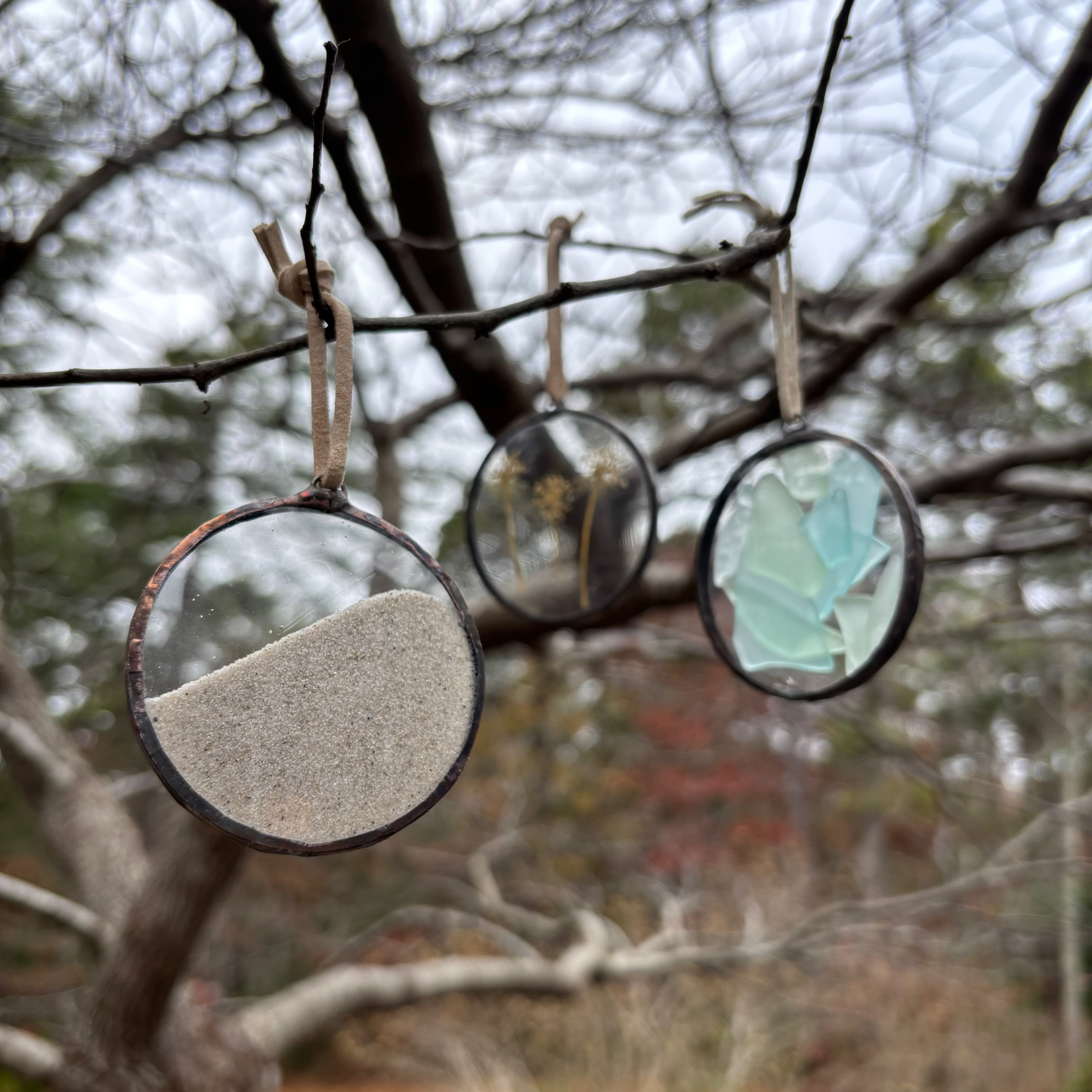 Decorative glass ornaments hanging on a tree branch with a blurred natural background
