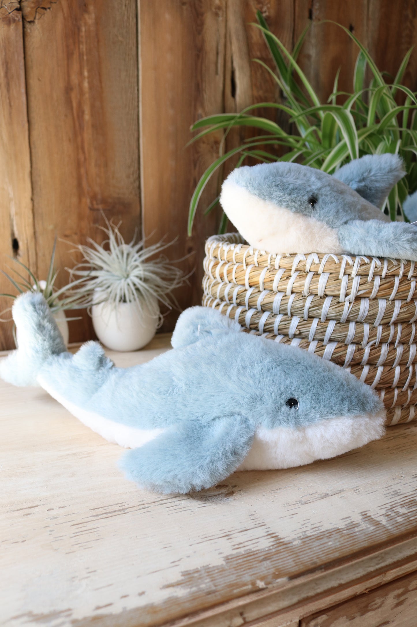Shark Stuffed Animal