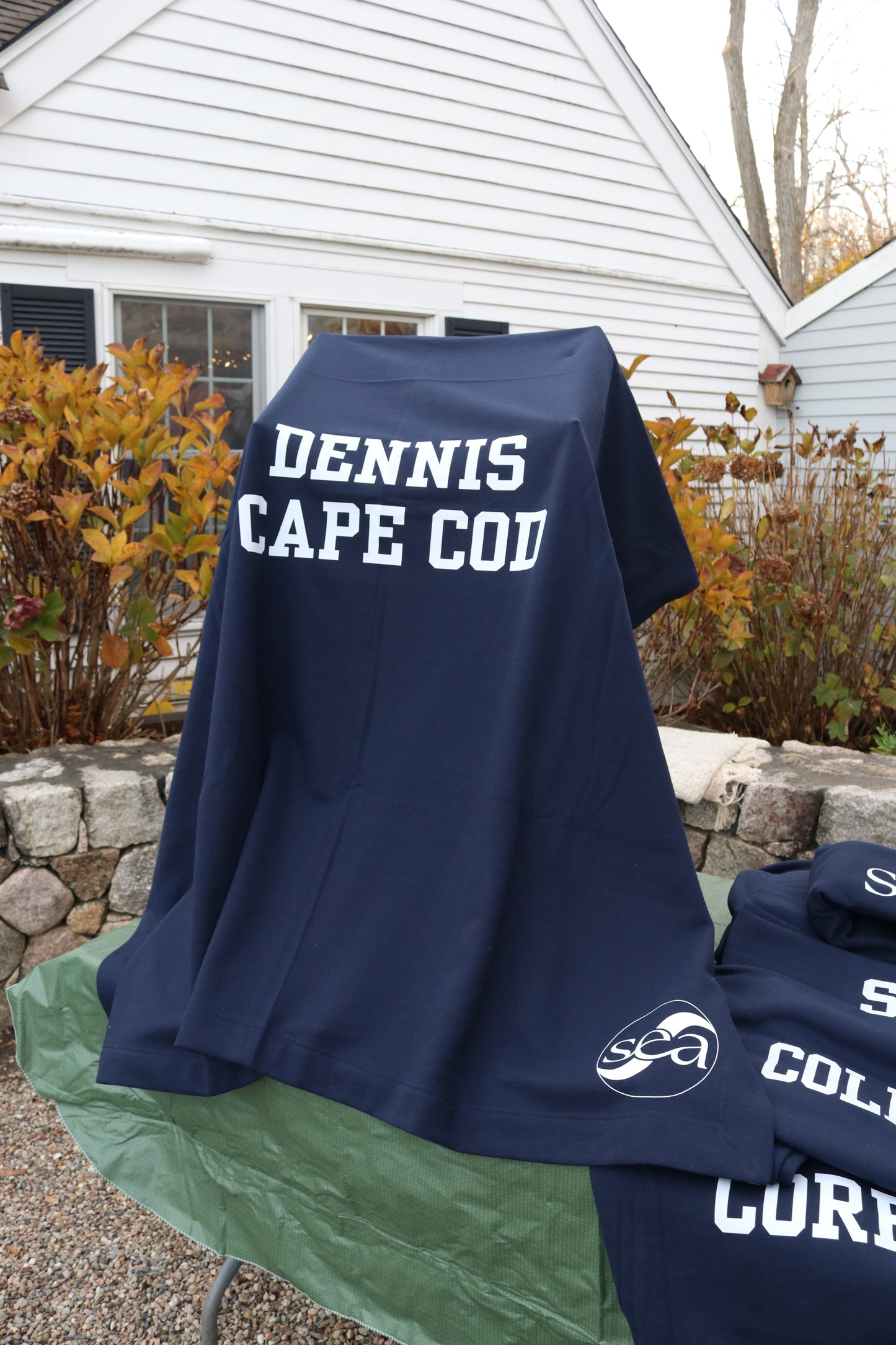 Dennis Beach Blankets